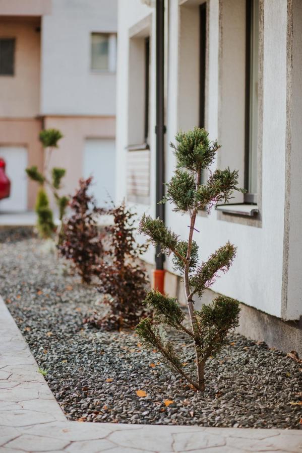 The Nook Aparthotel Тимишоара Екстериор снимка